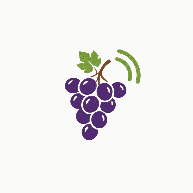 Grapevine consumer app logo animation