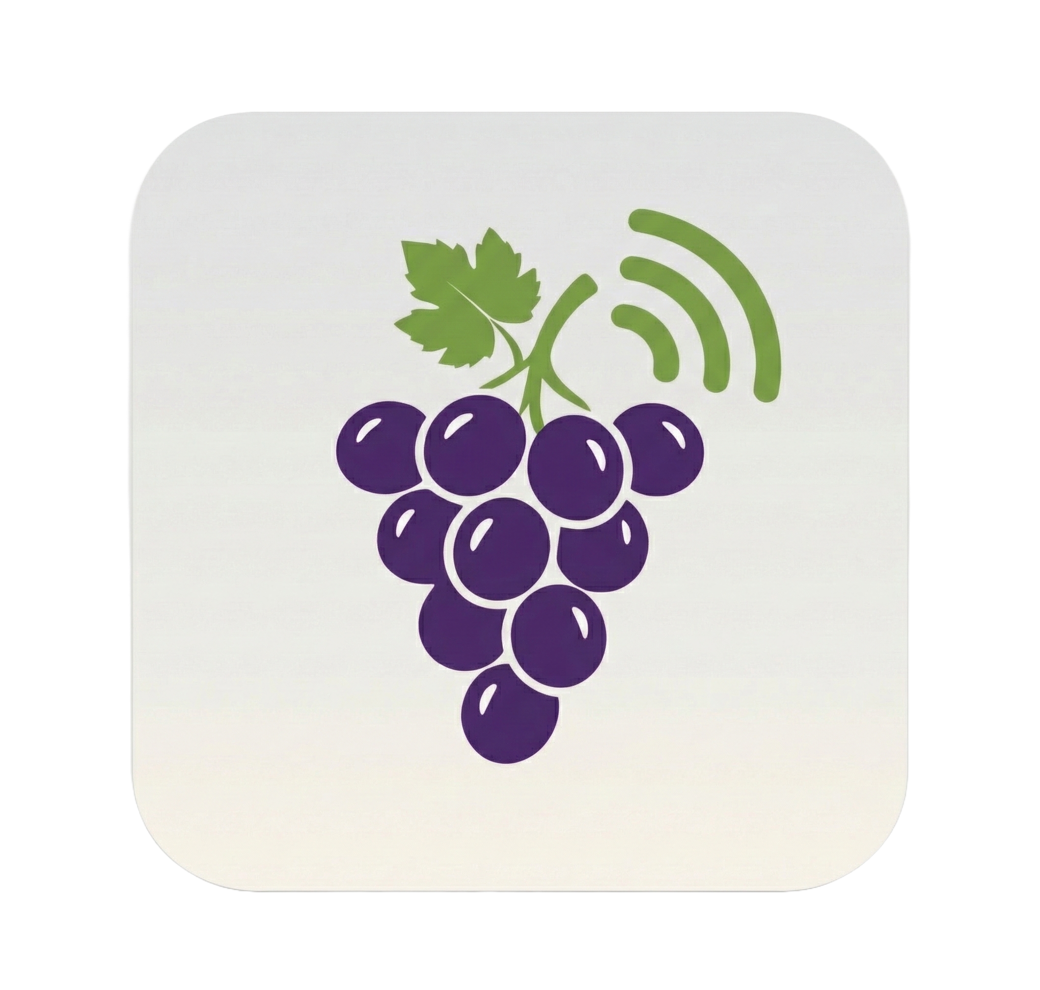 Grapevine